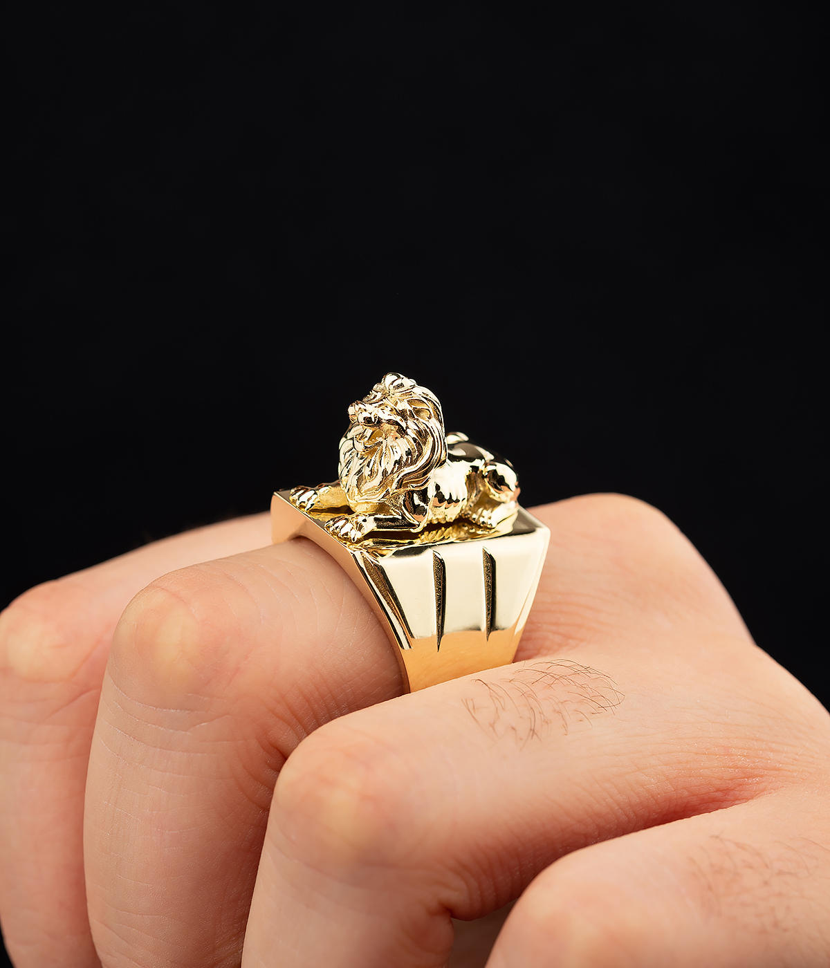 14K Solid Gold Unique Fantasy Gold Lion Ring - Rings