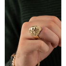 14K Solid Gold Men’s Lion Rings - Earrings